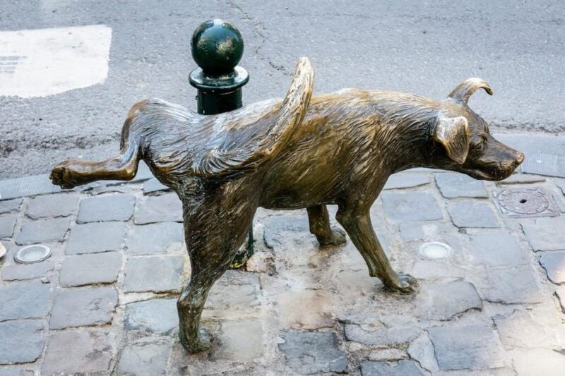 Brussels: Secret Paths and Stories Private Walking Tour - The Sum Up