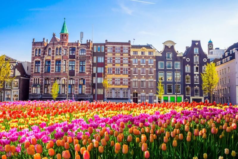 Brussels to Amsterdam Full-Day Small Group Tour - Guides can make or break the day