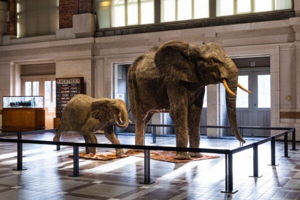 Brussels: Train World Museum Entrance Ticket - Reviews and Ratings