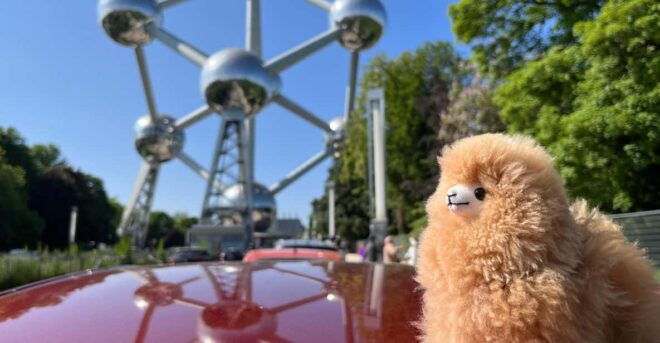 Brussels Walking and Tasting Tour - Booking Information