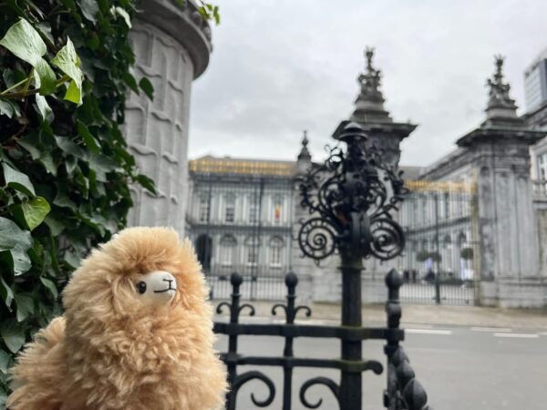 Brussels Walking and Tasting Tour - Frequently Asked Questions