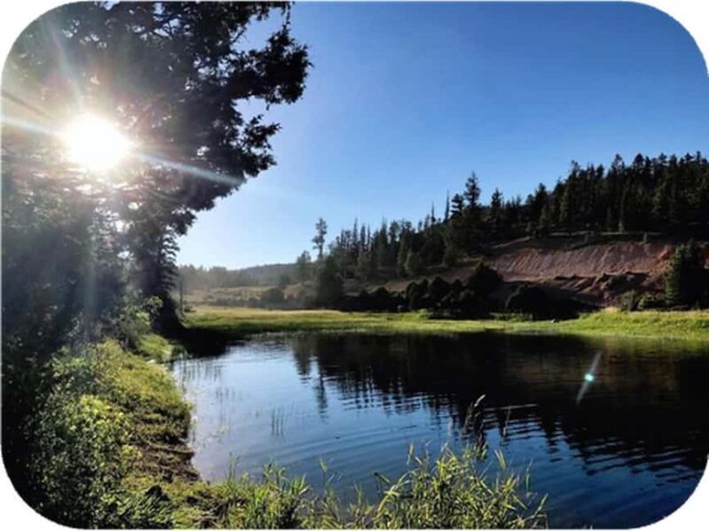Bryce Canyon: 2-Hour, 4-Seat or 5-Seat ATV Rental - An Overview of the Experience