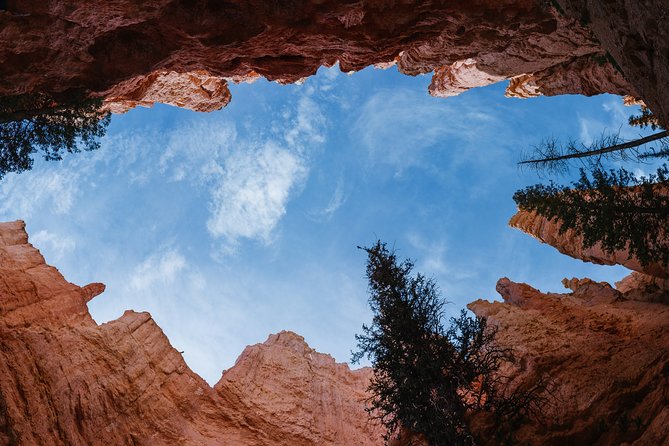Bryce Canyon and Zion National Park Day Tour With Lunch From Las Vegas - Highlights of Zion National Park