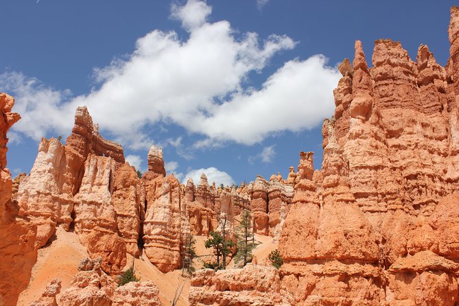 Bryce Canyon and Zion National Park Day Tour With Lunch From Las Vegas - The Sum Up