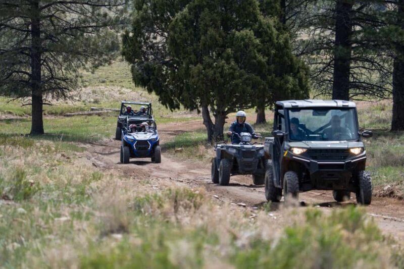 Bryce Canyon City Guided ATV/RZR Tour - The Experience in Detail