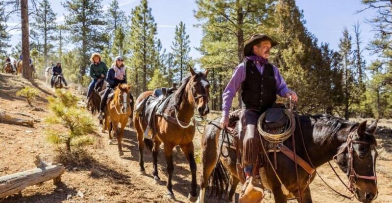 Bryce Canyon City: Horseback Riding Tour in Red Canyon - Who Should Book This Tour?