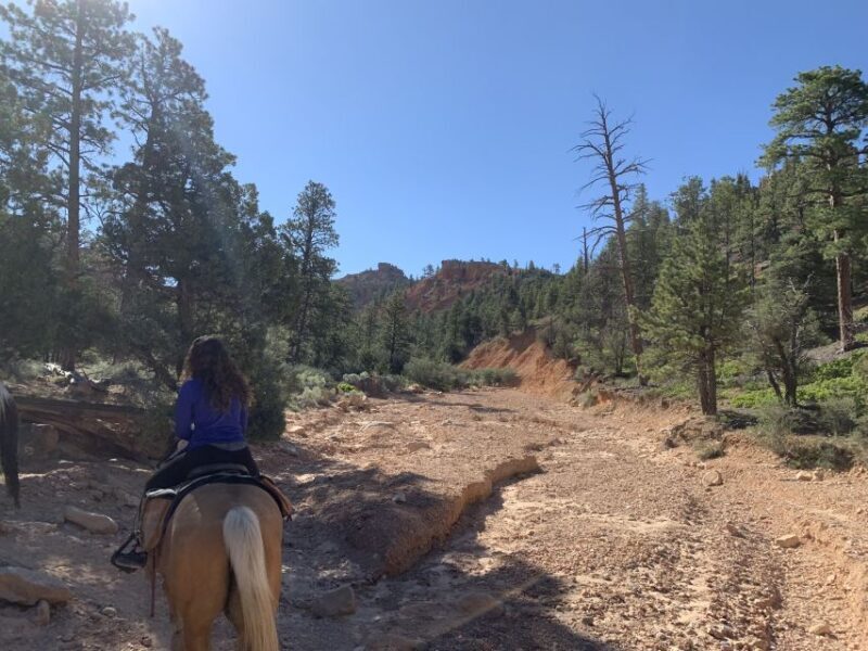Bryce Canyon City: Horseback Riding Tour in Red Canyon - Frequently Asked Questions
