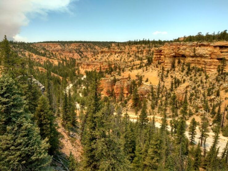 Bryce Canyon City: Red Canyon Horse Riding Day Trip W/ Lunch - Experience