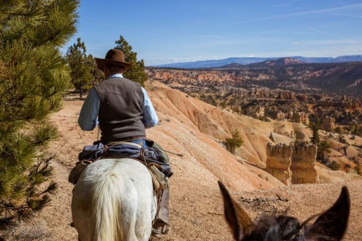 Bryce Canyon: Horseback Ride in the Dixie National Forest - Experience Highlights