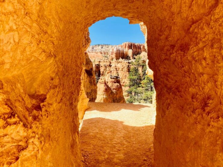 Bryce Canyon National Park: Guided Hike and Picnic - Good To Know