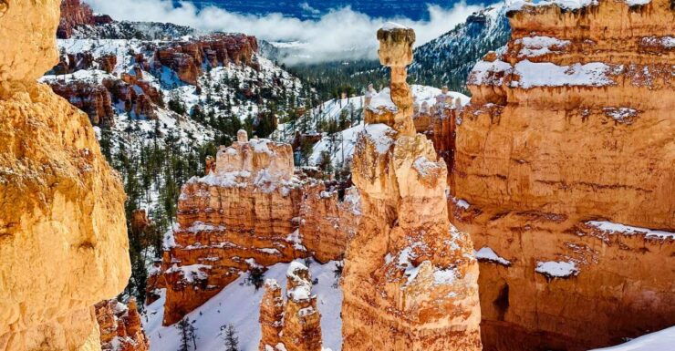 Bryce Canyon National Park: Guided Hike and Picnic - Activity Duration and Availability