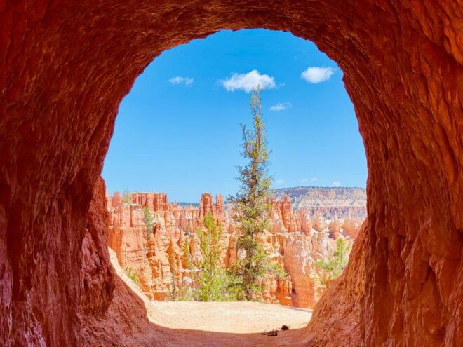 Bryce Canyon National Park: Guided Hike and Picnic - Detailed Itinerary Overview