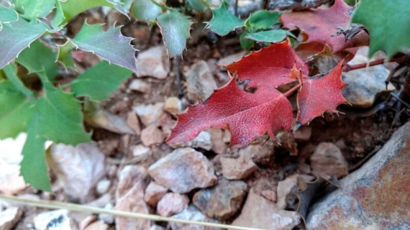 Bryce Canyon National Park Hiking Experience - Final Thoughts: Is It Worth It?