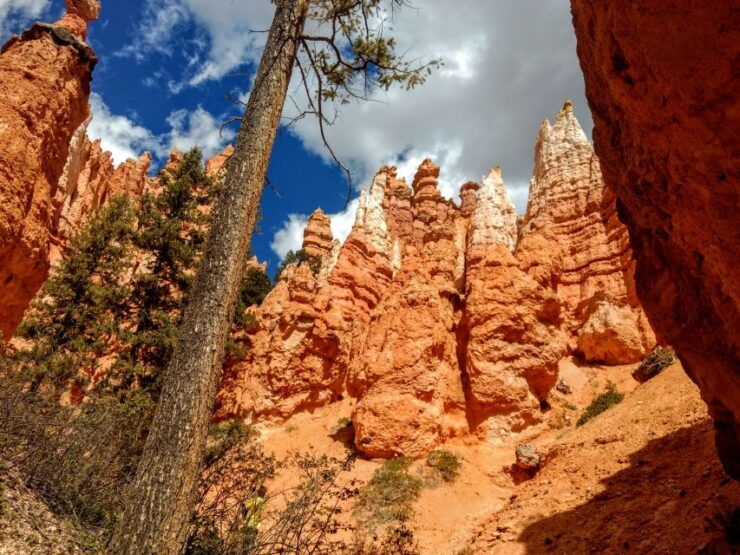 Bryce Canyon National Park Hiking Experience - Activity Details and Benefits