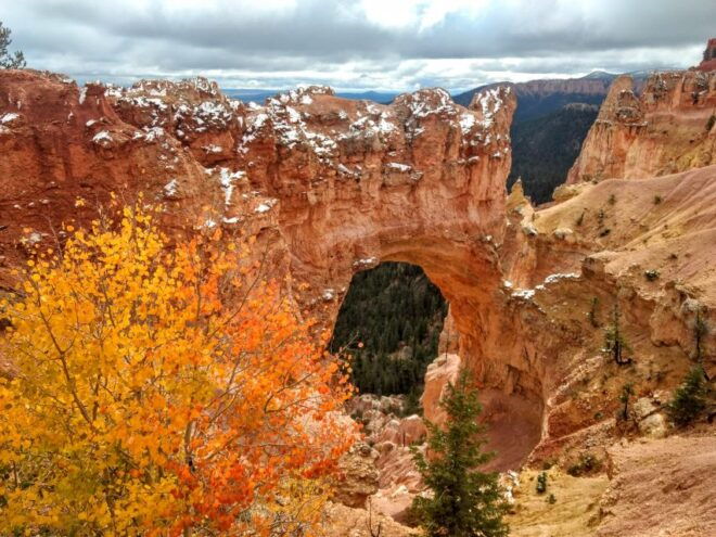 Bryce Canyon National Park Hiking Experience - Participant and Date Information