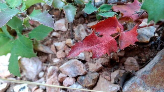 Bryce Canyon National Park Hiking Experience - Customer Reviews