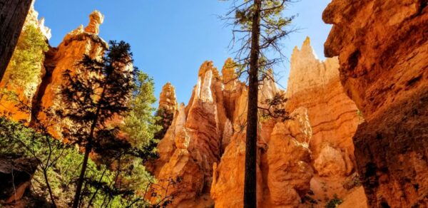 Bryce Canyon National Park Hiking Experience - Additional Information