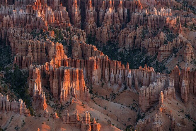 Bryce Canyon Photography Tours - Exploring Bryce Canyon Photography Tours: What You Can Expect
