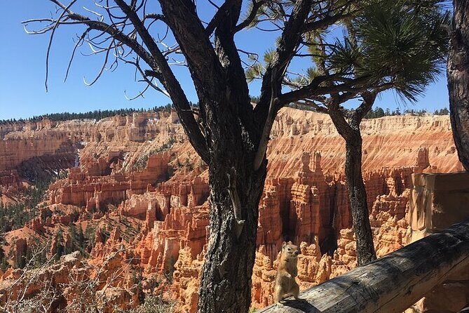 Bryce Canyon Private Tour - Why Choose the Bryce Canyon Private Tour?