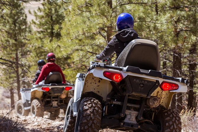 Bryce Canyon Small-Group Guided ATV Ride  - Bryce Canyon National Park - What to Expect
