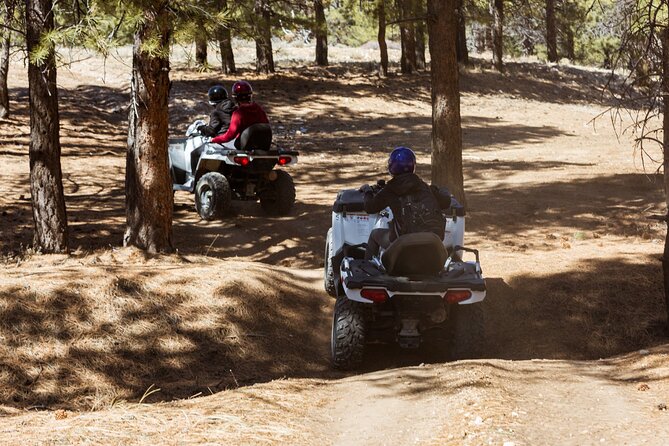 Bryce Canyon Small-Group Guided ATV Ride  - Bryce Canyon National Park - Cancellation Policy
