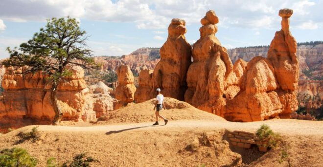 Bryce Canyon & Zion National Park: Private Group Tour - Knowledgeable Live Tour Guide