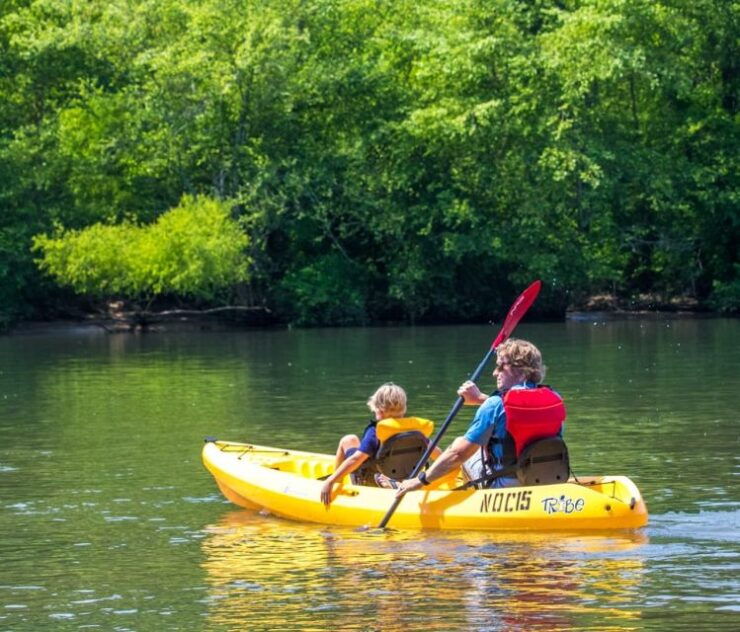 Bryson City: Fontana Lake Guided Kayak Tour - Activity Details