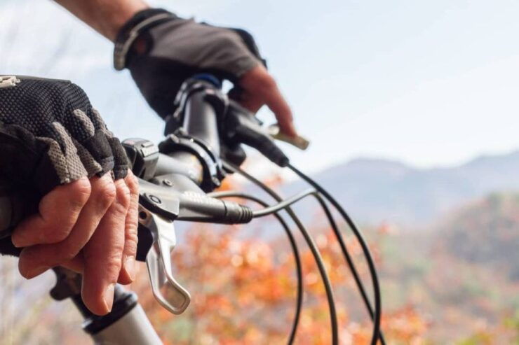 Bryson City: Tsali Recreation Area Guided Mountain Bike Tour - Reservation Details