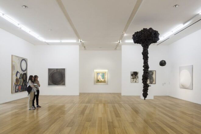 Bs As, Colon Theather and Malba Museum Private Tour - Highlights