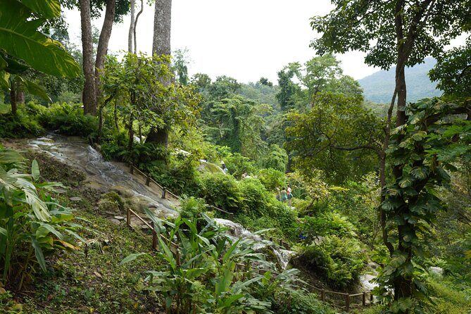 Bua Tong Sticky Waterfall-Nam Phu Chet Si Hotel Van Transfer - Who Will Love This Tour?