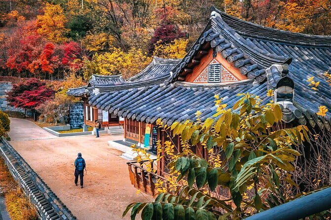 Buam dong Walking Tour Art, History and Parasite in Seoul - Seoul City Wall and Changuimun Gate