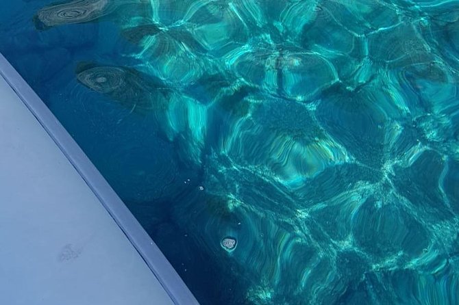 Bubble Maker (Scuba Diving for Children) - Pricing and Booking Details