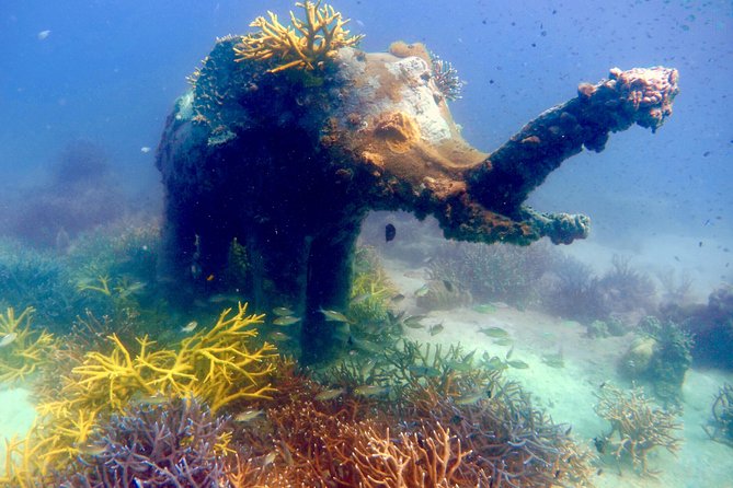 Bubblemaker, Diving for Youngsters, 8 and 9 Years Old ( Start at Ko Kut) - Trip Overview