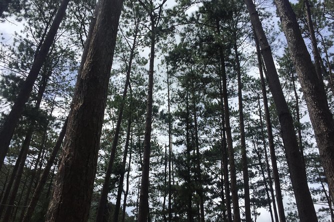 Bucari Leon (Little Baguio) Tour - Tour Overview