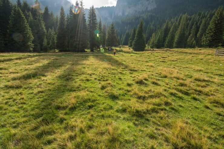 Bucegi Mountains: Private Hiking Day - Detailed Itinerary and Highlights