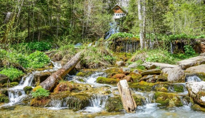 Bucegi Mountains: Private Hiking Day - Prohibited Items on the Trip