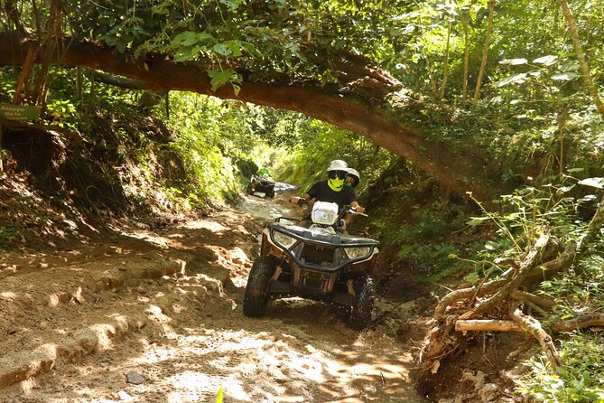 Bucerias ATV Tour of Sierra Madre Occidental - Common Questions