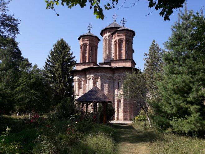 Bucharest: 2-Day Tour of Transylvania & Halloween Party - Customer Reviews and Feedback