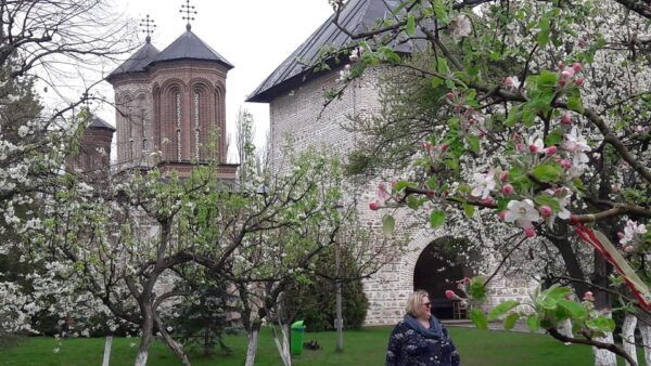 Bucharest: 2-Day Tour of Transylvania & Halloween Party - The Sum Up