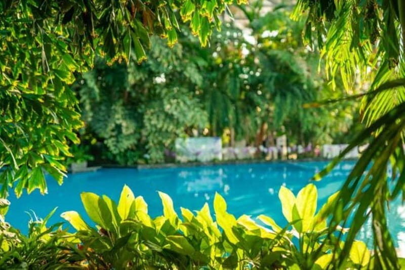 Bucharest: All Day Therme with Elysium Experience - FAQ