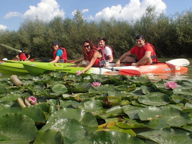 Bucharest: Arges River Kayaking Tour with Transfers - Why Choose This Kayaking Tour?