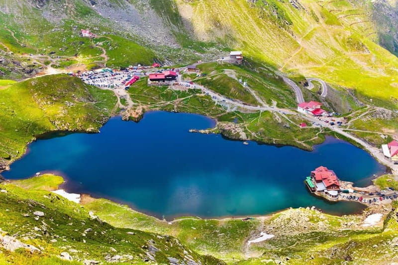 Bucharest: Bears Safari on Top Gear Road Transfagarasan - Practical Details & Tips