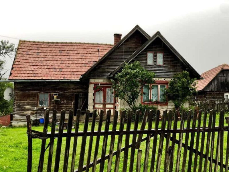 Bucharest: Brown Bears Sanctuary and Quad Tour - What’s Included and What’s Not