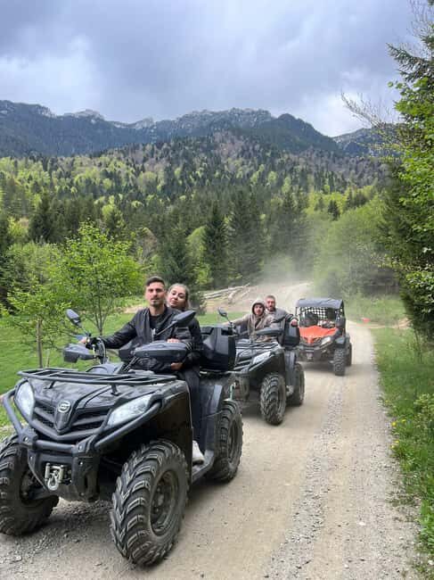 Bucharest: Brown Bears Sanctuary and Quad Tour - Final Thoughts