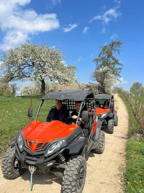 Bucharest: Brown Bears Sanctuary and Quad Tour - Final Word