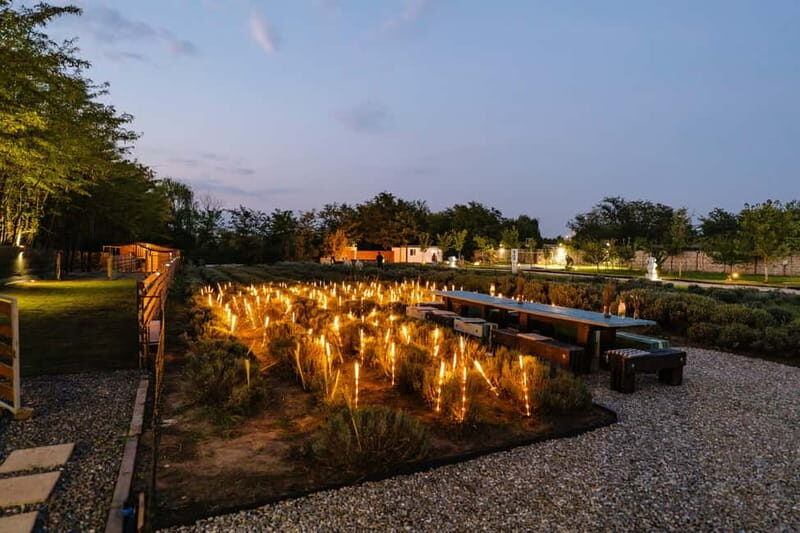 Bucharest: Day Trip at the The Tribe Alpaca Retreat - An Authentic Countryside Experience Near Bucharest