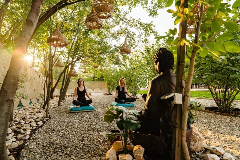 Bucharest: Day Trip at the The Tribe Alpaca Retreat - Who Should Consider This Tour?