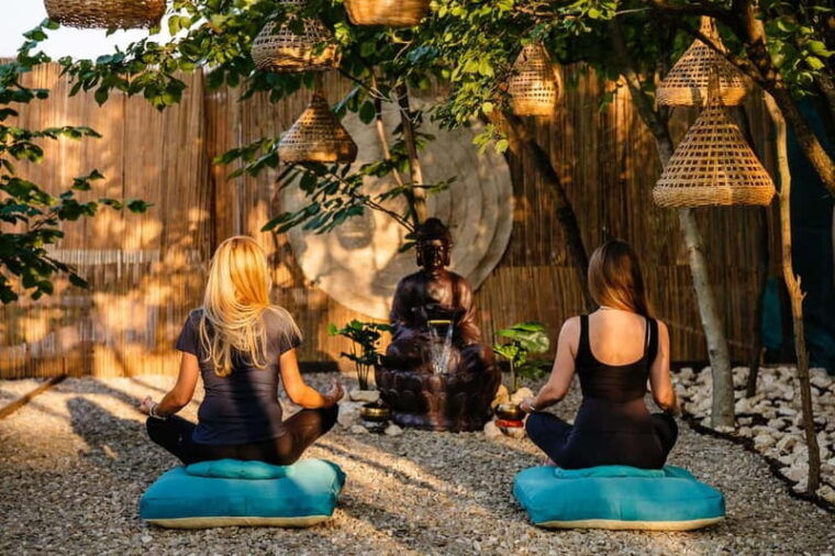 Bucharest: Day Trip at the The Tribe Alpaca Retreat - FAQs
