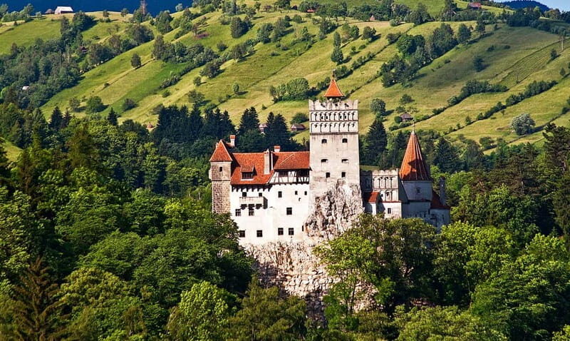 Bucharest: Day Trip to Bear Sanctuary, Bran Castle & Brasov - Good To Know