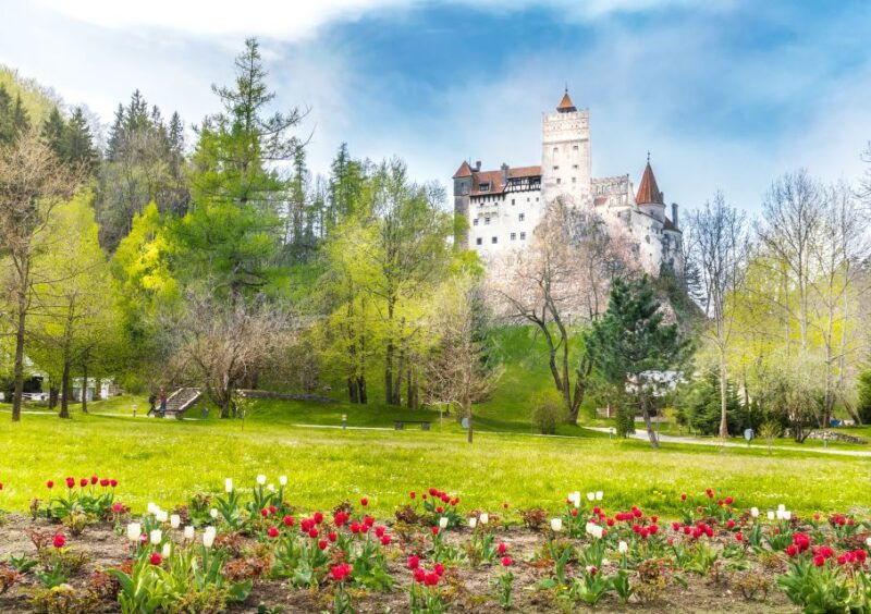 Bucharest: Dracula Castle, Peles Castle & Brasov Guided Tour - Good To Know